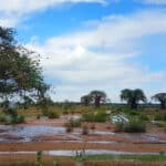 EACOP Geologic Mapping