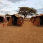 EACOP Geologic Mapping