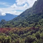 Aure Scarp Quarry Site Investigation