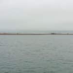 Whitney Geologics Green Gas Lolland Fallster 04